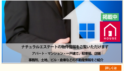 ナチュラルエステートの物件情報